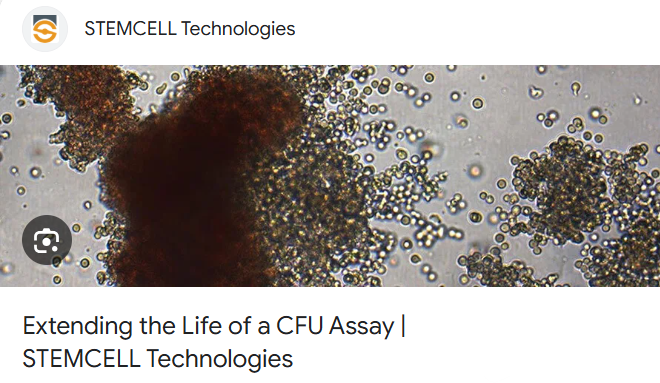 Kéo Dài Thời Gian Bảo Quản Xét Nghiệm Định Lượng Cụm Tế Bào (CFU)
