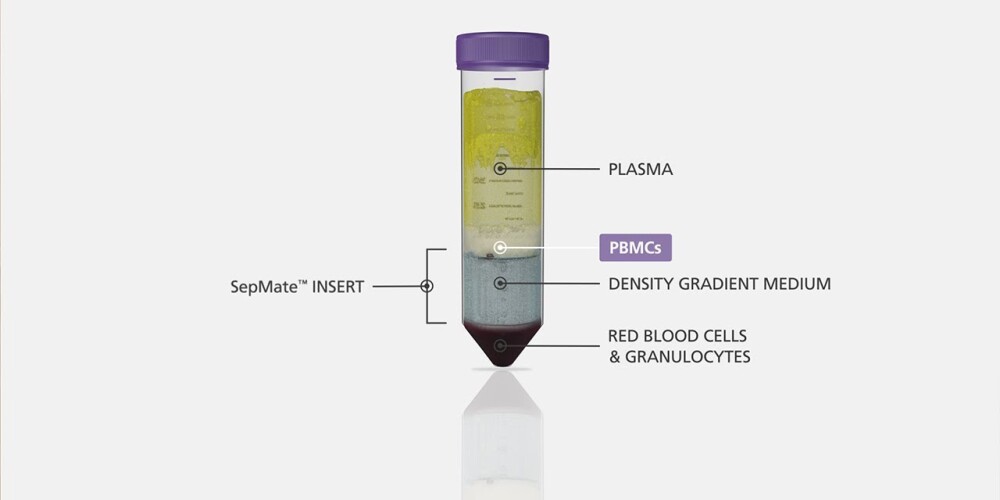 Hướng Dẫn Sử Dụng Ống SepMate™ Phân Tách Tế Bào Đơn Nhân (MNC)