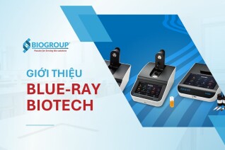 Blue-Ray Biotech - Chuyên gia thiết bị nghiên cứu sinh học