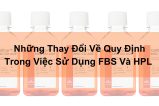 Những Thay Đổi Về Quy Định Trong Việc Sử Dụng FBS Và HPL