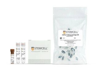 Bộ Kit Chuyển Gen CellPore™ Transfection Kit 300