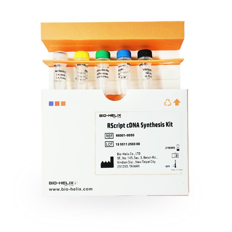 Bộ Kit RScript cDNA Synthesis