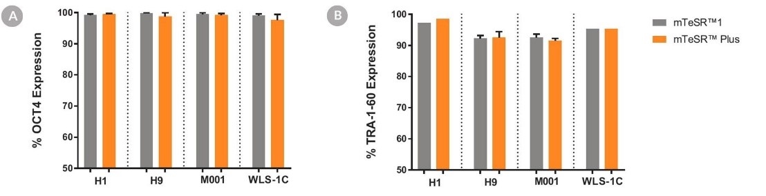 https://www.stemcell.com/media/images/data-figures/05825/05825-Fig6-updated.jpg