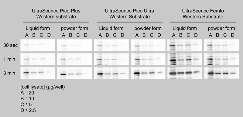 https://bio-helix.com/uploads/ckeditor/pictures/185/content_ECL_POWDER_DATA-01.jpg