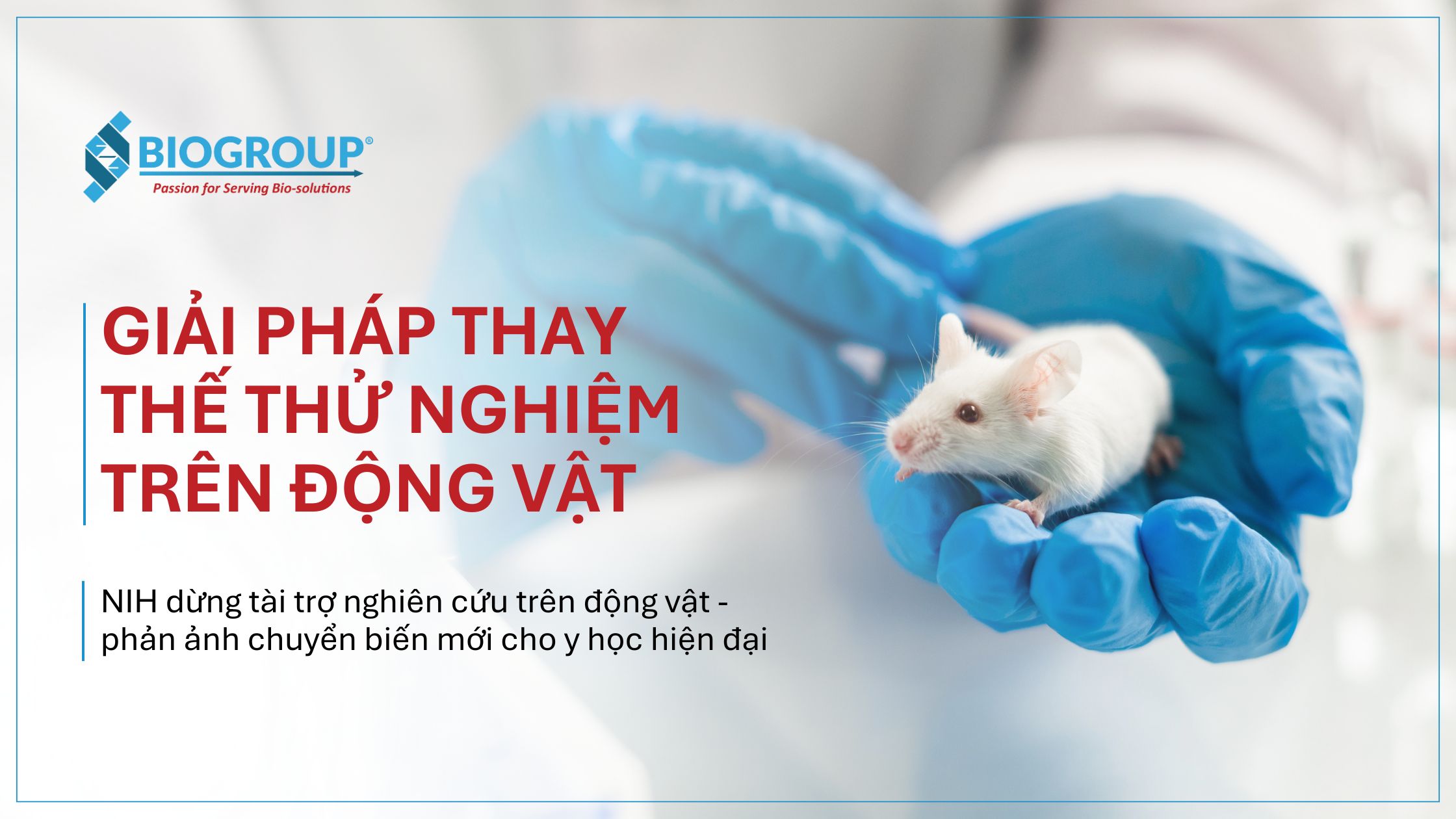 NIH stops funding animal research