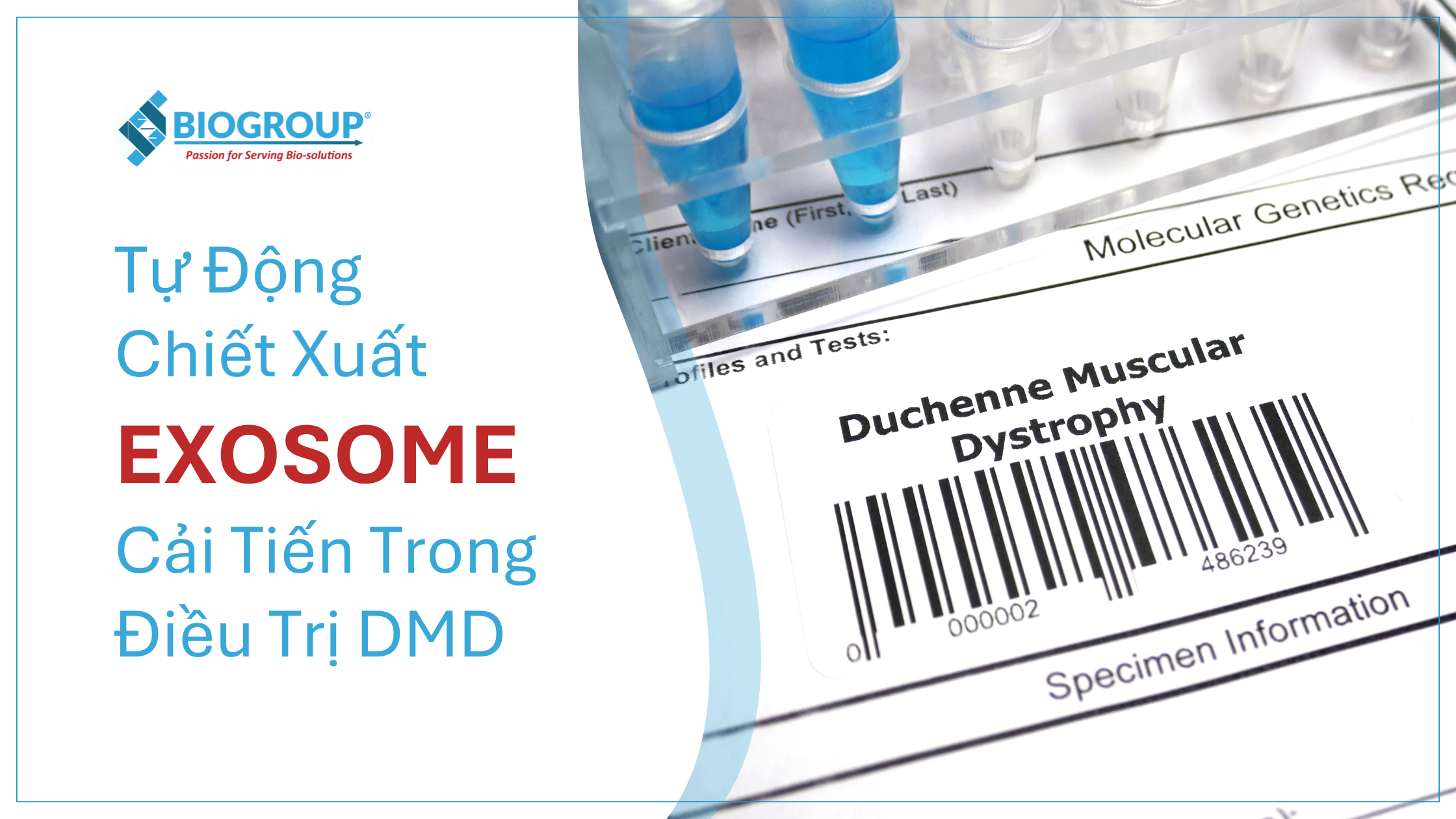 Chiết xuất exosome hiệu suất cao cải thiện điều trị DMD