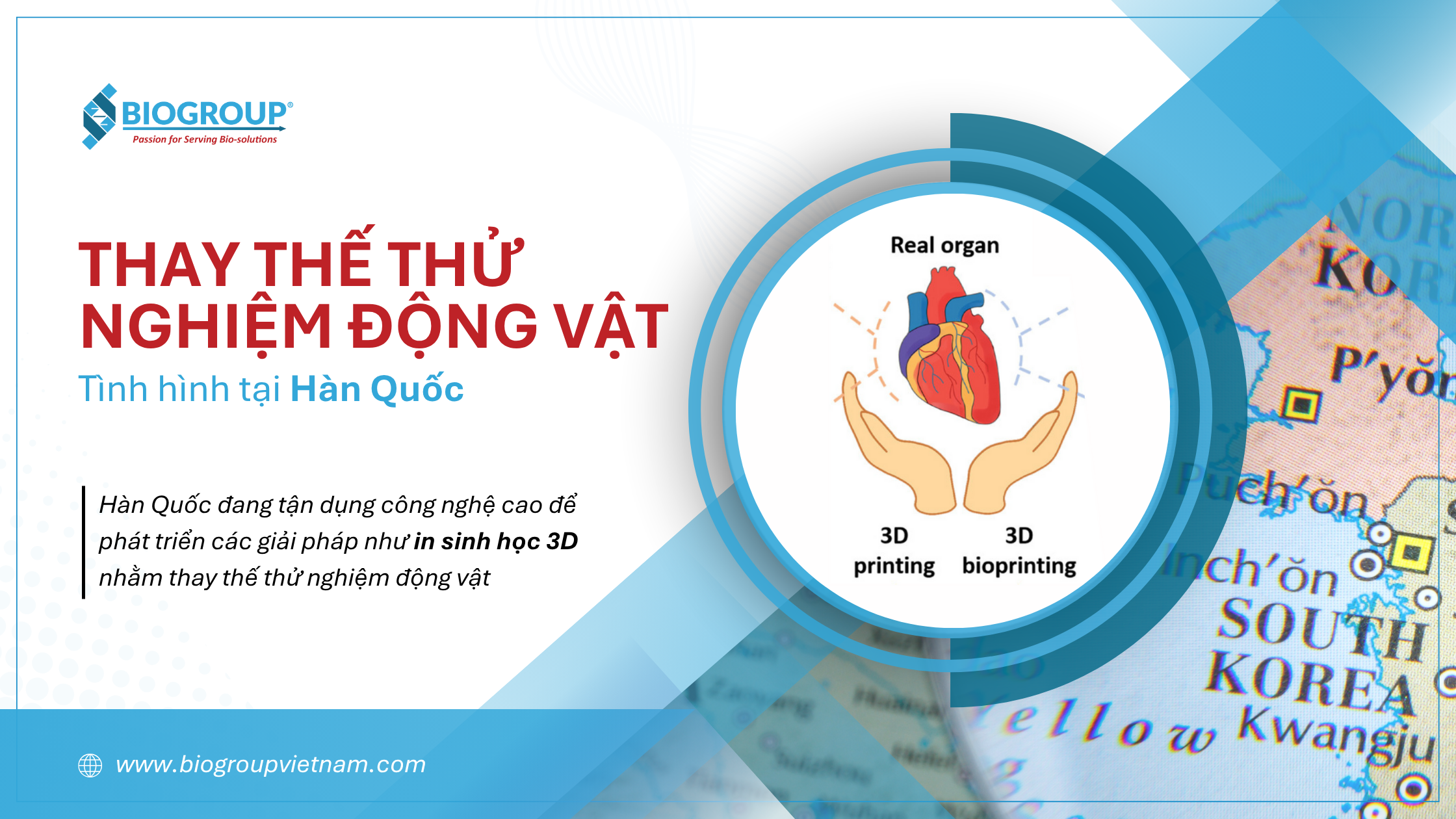 Hàn Quốc thay thế thử nghiệm trên động vật với công nghệ cao như in sinh học 3D