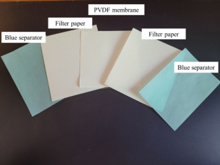 Màng PVDF cho Western Blot