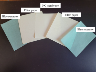 Màng Nitrocellulose Cho Western Blot