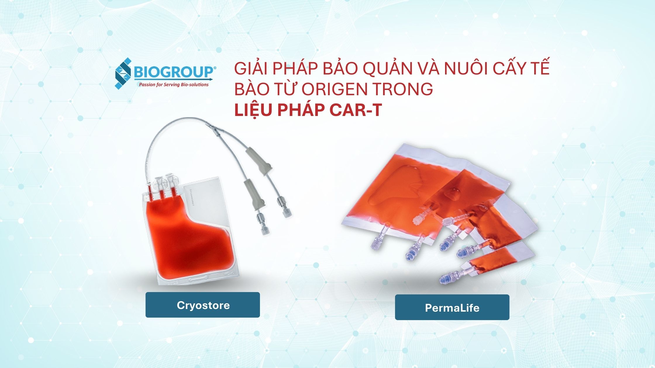 CryoStore™ & PermaLife® - Giải pháp tế bào CAR-T tin cậy toàn cầu