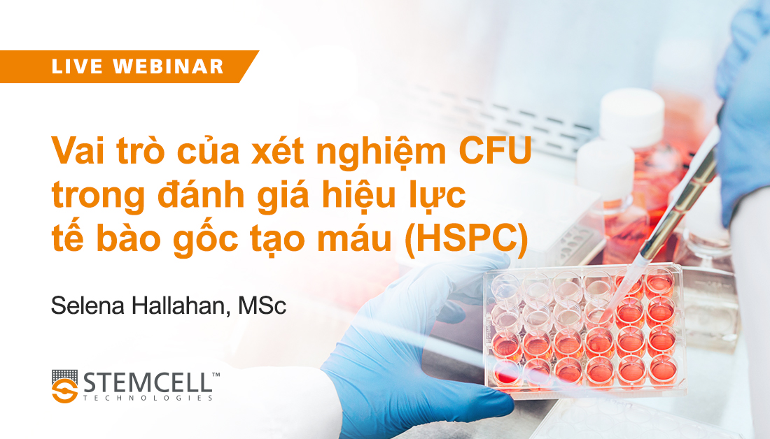 Webinar: Xét nghiệm CFU trong đánh giá hiệu lực tế bào HSPC