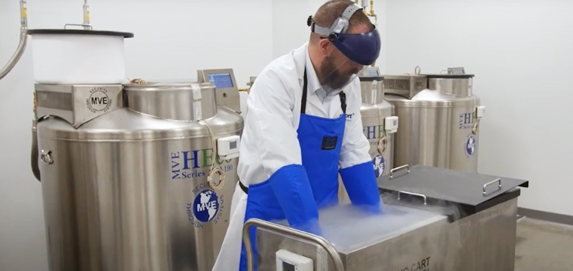Liquid Nitrogen Storage or Ultra-Low Temperature Freezers?