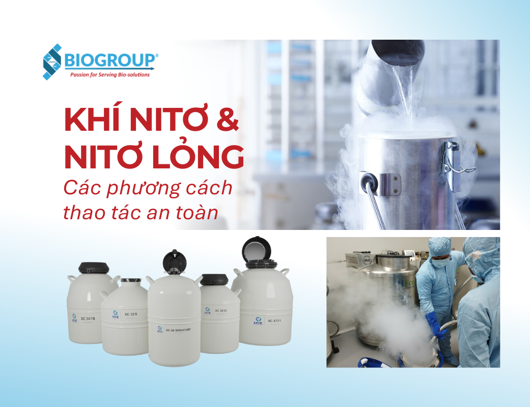 Các phương cách thao tác an toàn với khí nitơ