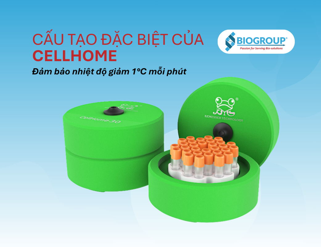 Cấu Tạo Đặc Biệt Của CellHome Đảm Bảo Nhiệt Độ Giảm 1°C Mỗi Phút