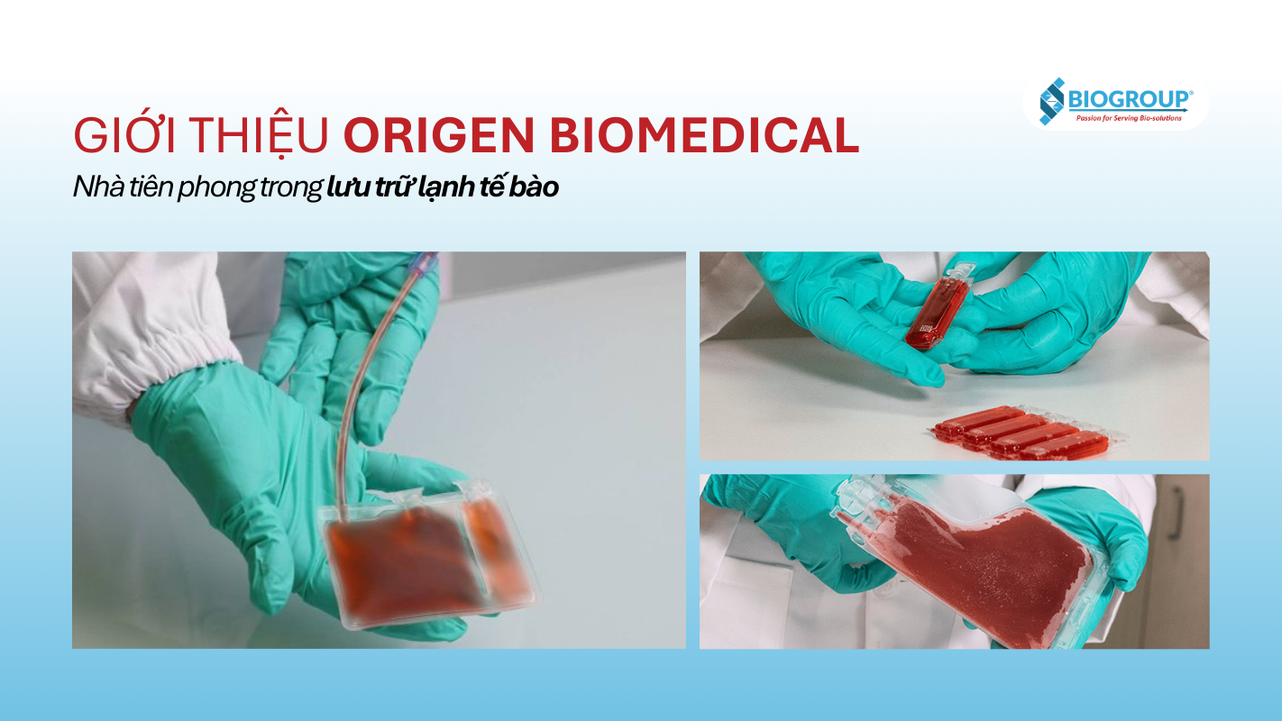 Origen Biomedical chuyên cung cấp túi lưu trữ lạnh tế bào gốc
