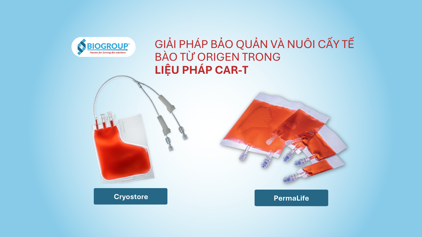 CryoStore™ & PermaLife® – Trusted global solutions for CAR-T cells