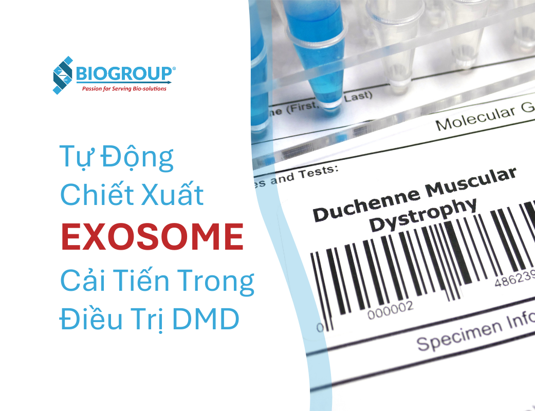 Chiết xuất exosome hiệu suất cao cải thiện điều trị DMD