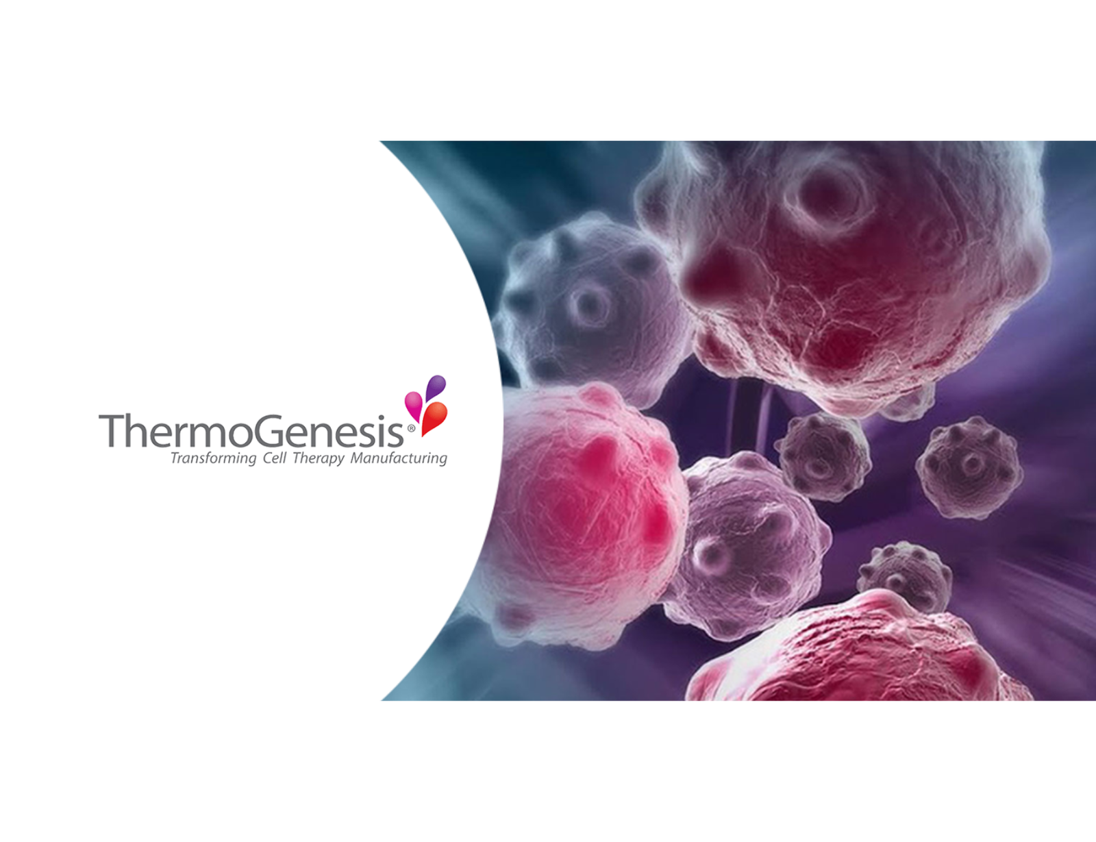 Immunotherapy – CAR-T therapy revolutionize the cancer treatment