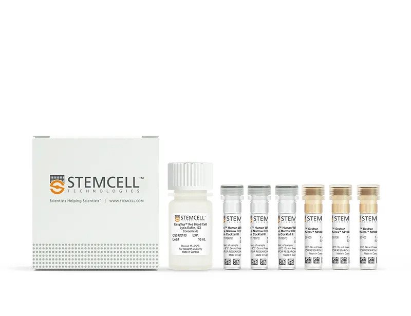 Frequently Asked Questions on CD138⁺ Cell Isolation for Increased FISH Sensitivity