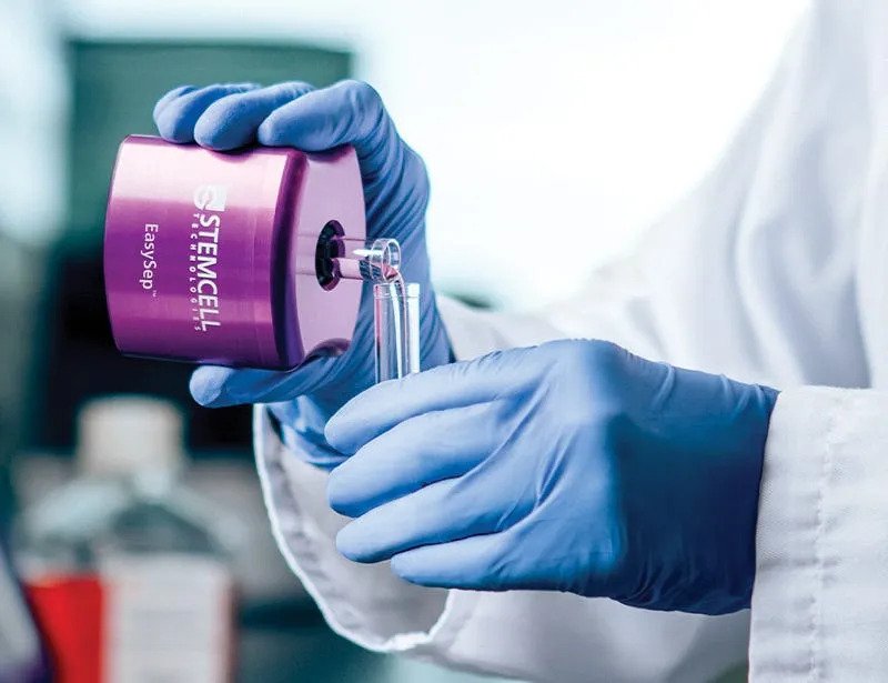 Immune Cells Isolated with EasySep™