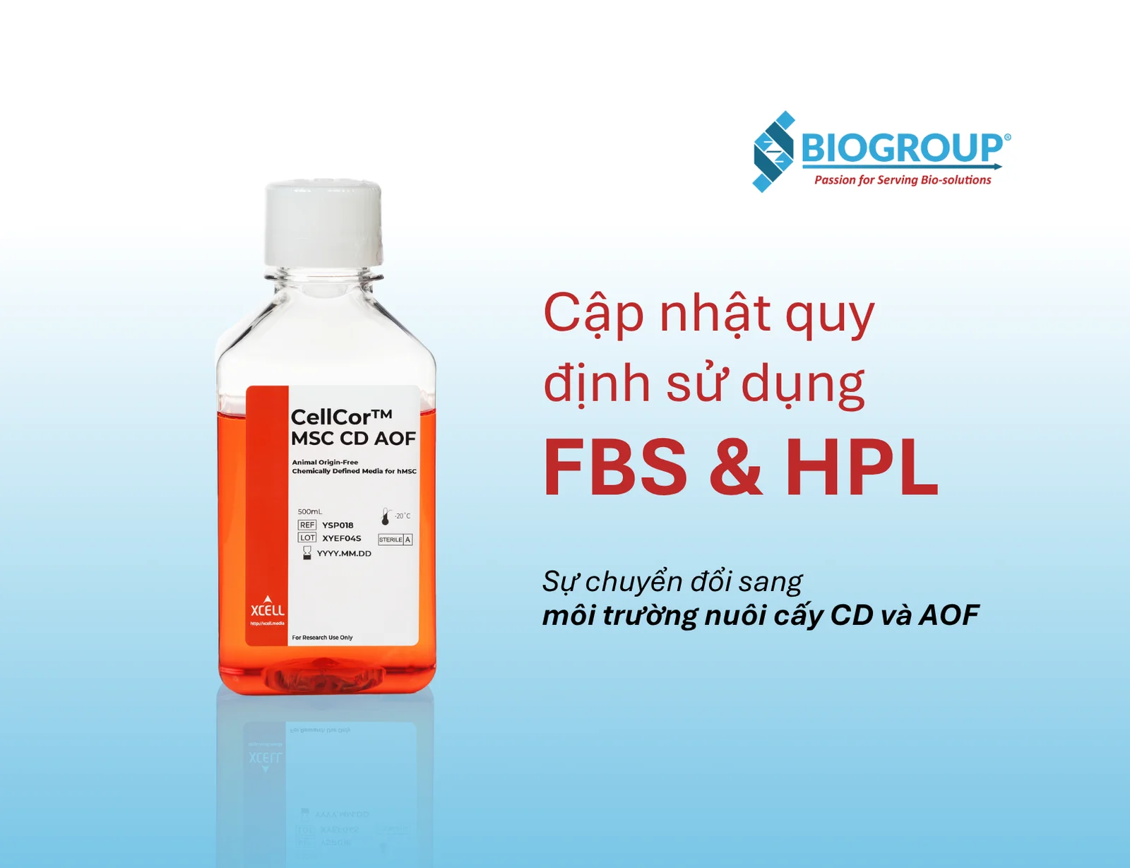 Cập nhật quy định sử dụng FBS và HPL theo tiêu chuẩn quốc tế