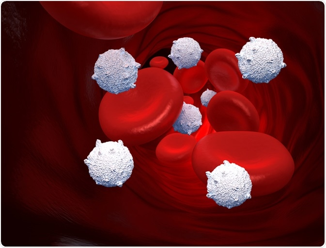 Impact of Time & Temperature of Storing Stem Cell Units Before Frozen Storage