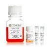 NK Cell Culture and Differentiation Using StemSpan™ NK Cell Generation Kit