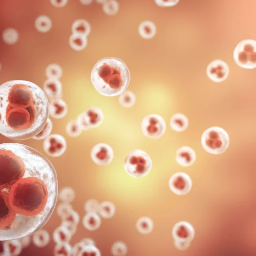 Exosome