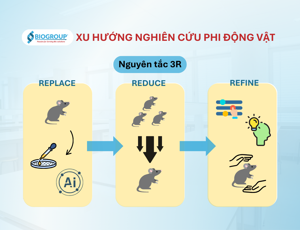 Xu hướng nghiên cứu phi động vật & cách Mỹ nắm bắt chuyển đổi