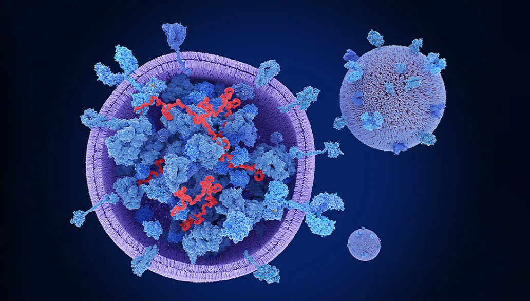 Exosomes Derived from Mesenchymal Stem Cells: A Modern Approach in Translational Medicine