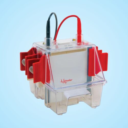 Bộ Điện Di Đứng SE 260