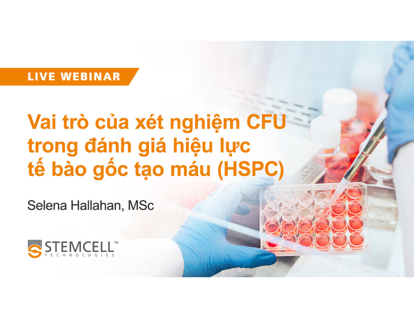 Webinar The CFU Assay: In Vitro Functional Potency Assessment for Hematopoietic Stem and Progenitor Cells