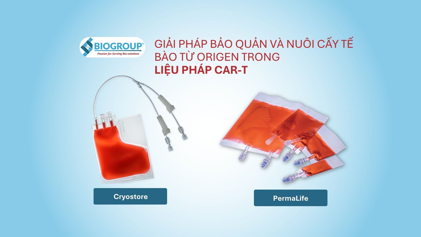 CryoStore™ & PermaLife® – Trusted global solutions for CAR-T cells