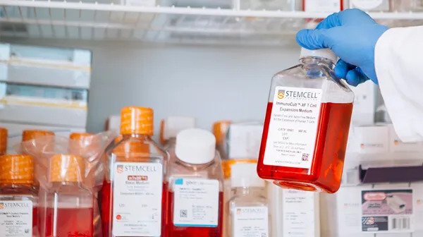 How to Optimize Cell Culture