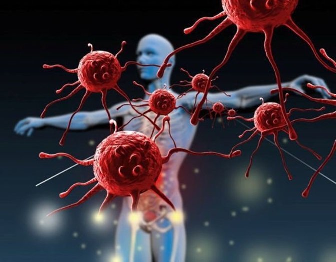 Immune cell therapy: New direction in cancer treatment