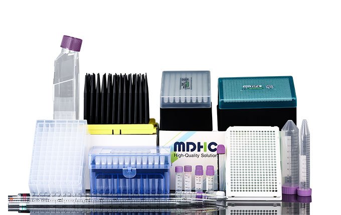 Unleashing Potential: Cell Culture Ware in Stem Cell Research and Applications