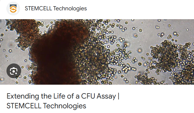 Extending the Life of a CFU Assay