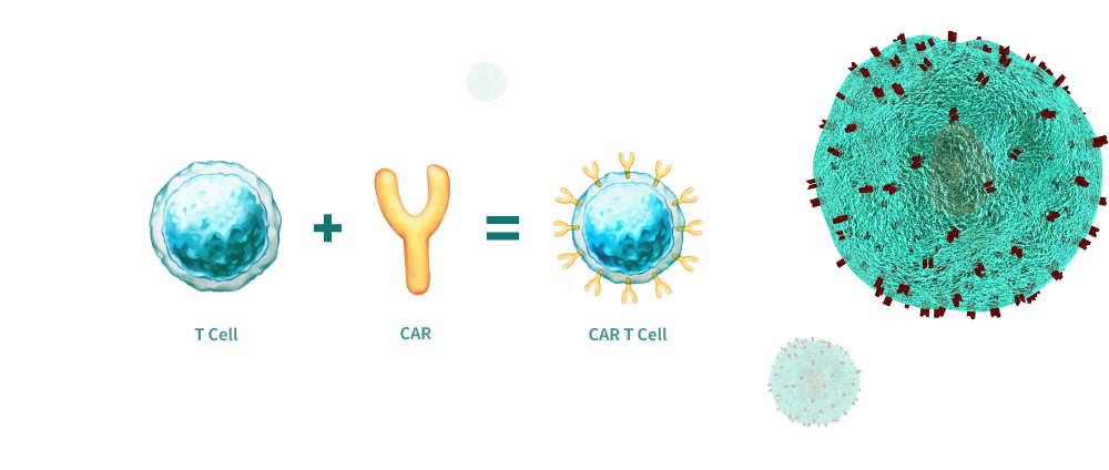 Immune cell therapy