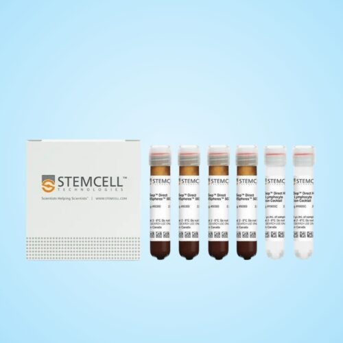 Bộ Kit Chọn Lọc Trực Tiếp Tế Bào Lympho Tổng Số Của Người