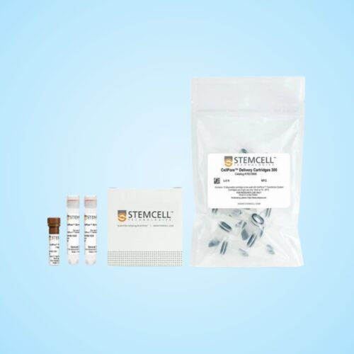 Bộ Kit Chuyển Gen CellPore™ Transfection Kit 300