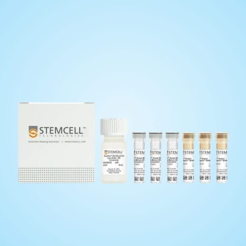 Bộ Kit EasySep™ Chọn Lọc Dương Tính Tế Bào CD138 Của Người Từ Máu Toàn Phần Và Tủy Xương