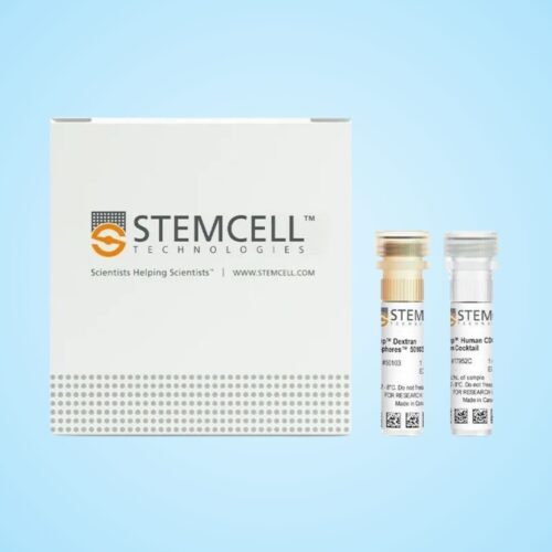 Bộ Kit EasySep™ Phân Lập Tế Bào T CD4+ Của Người