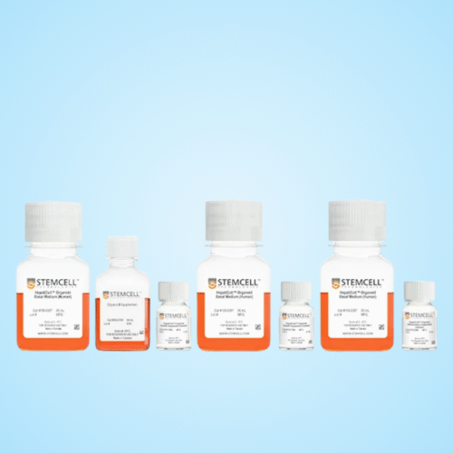 Bộ kit HepatiCult™ Organoid Kit (Human)