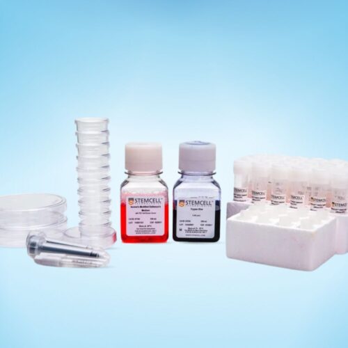 Bộ Kit QC Tế Bào Gốc Máu Cuống Rốn