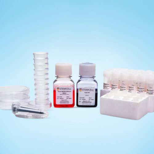 Bộ Kit QC Tế Bào Gốc Máu Cuống Rốn