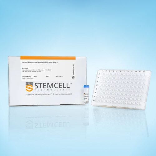 Bộ Kit qPCR Xét Nghiệm Tế Bào Gốc Trung Mô Người