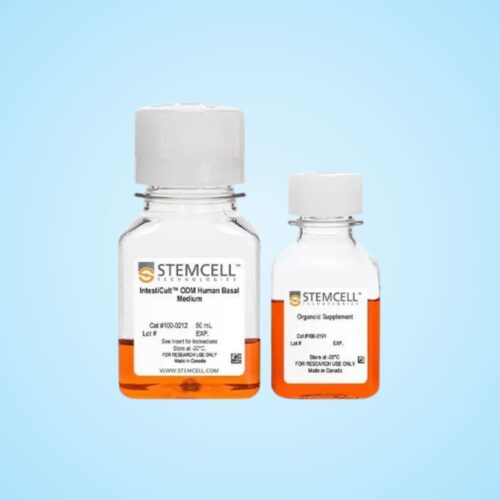 Bộ Môi Trường Biệt Hóa Organoid Ruột IntestiCult™ (Người)