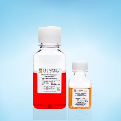 Bộ Môi Trường Biệt Hóa Tế Bào Xương MesenCult™ (Người)