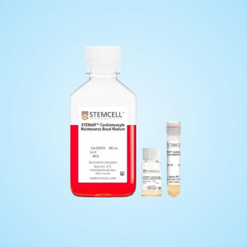 Bộ Môi Trường Tăng Sinh Tế Bào Cơ Tim STEMdiff™