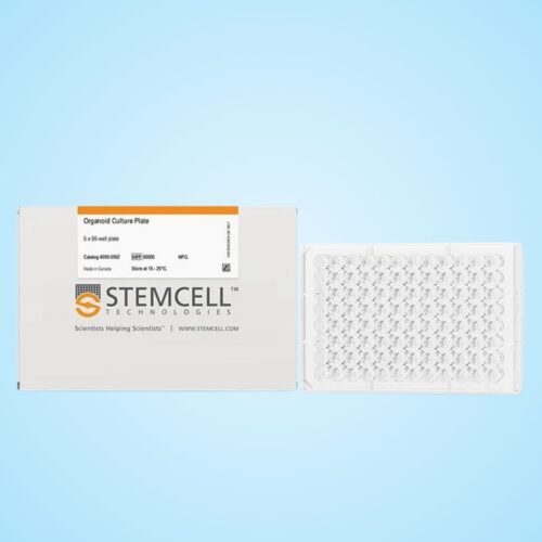 Đĩa Nuôi Cấy Organoid – Organoid Culture Plates